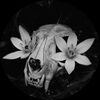centonous